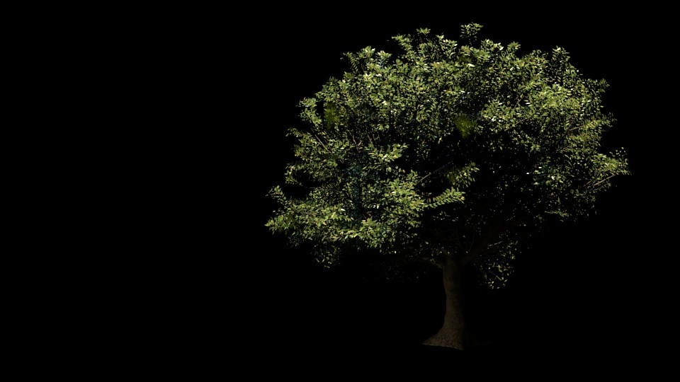 Realistic Tree preview image 1